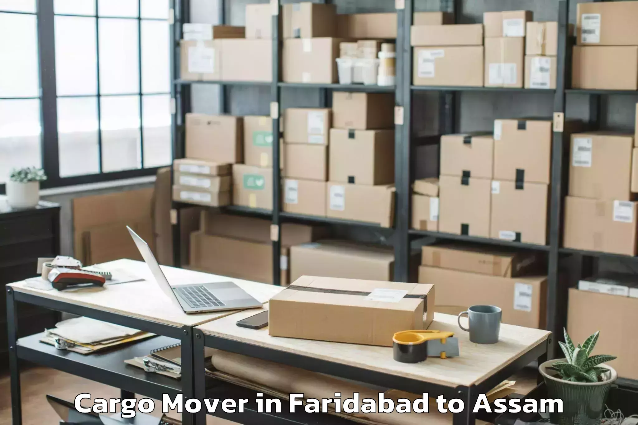 Book Faridabad to Pathorighat Pt Cargo Mover